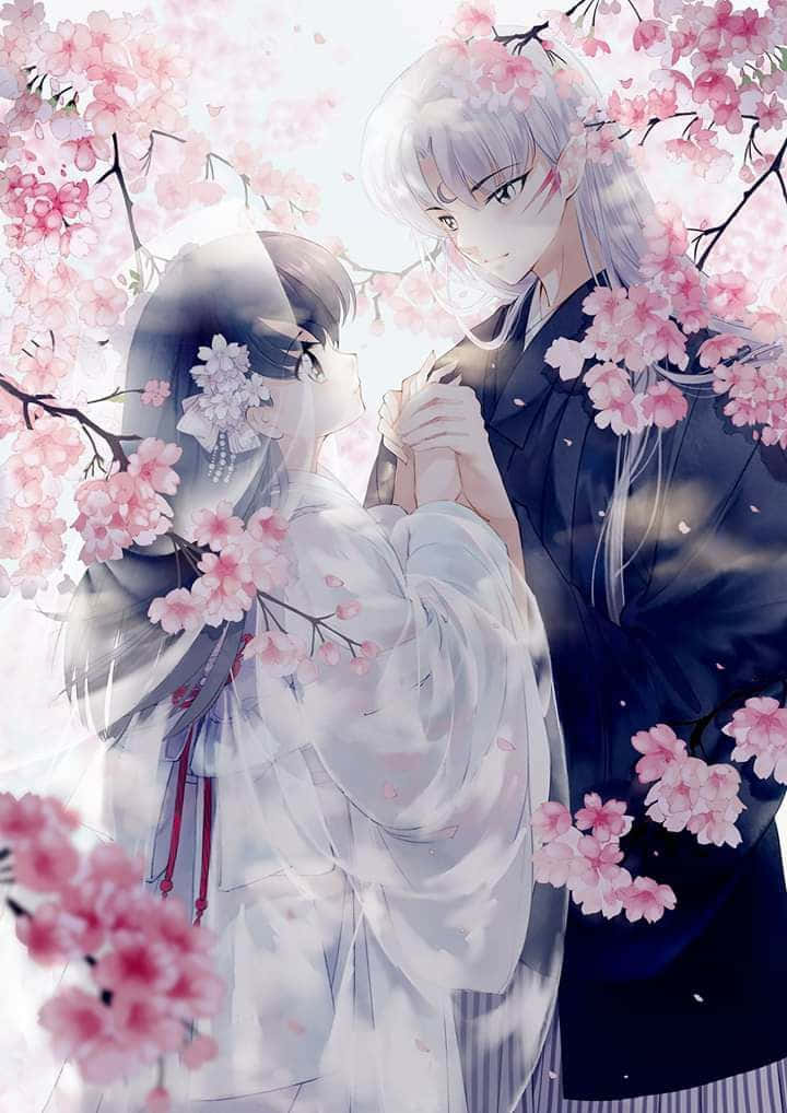 Inuyasha, Rin, pink cherry blossoms, SD Phone Wallpaper