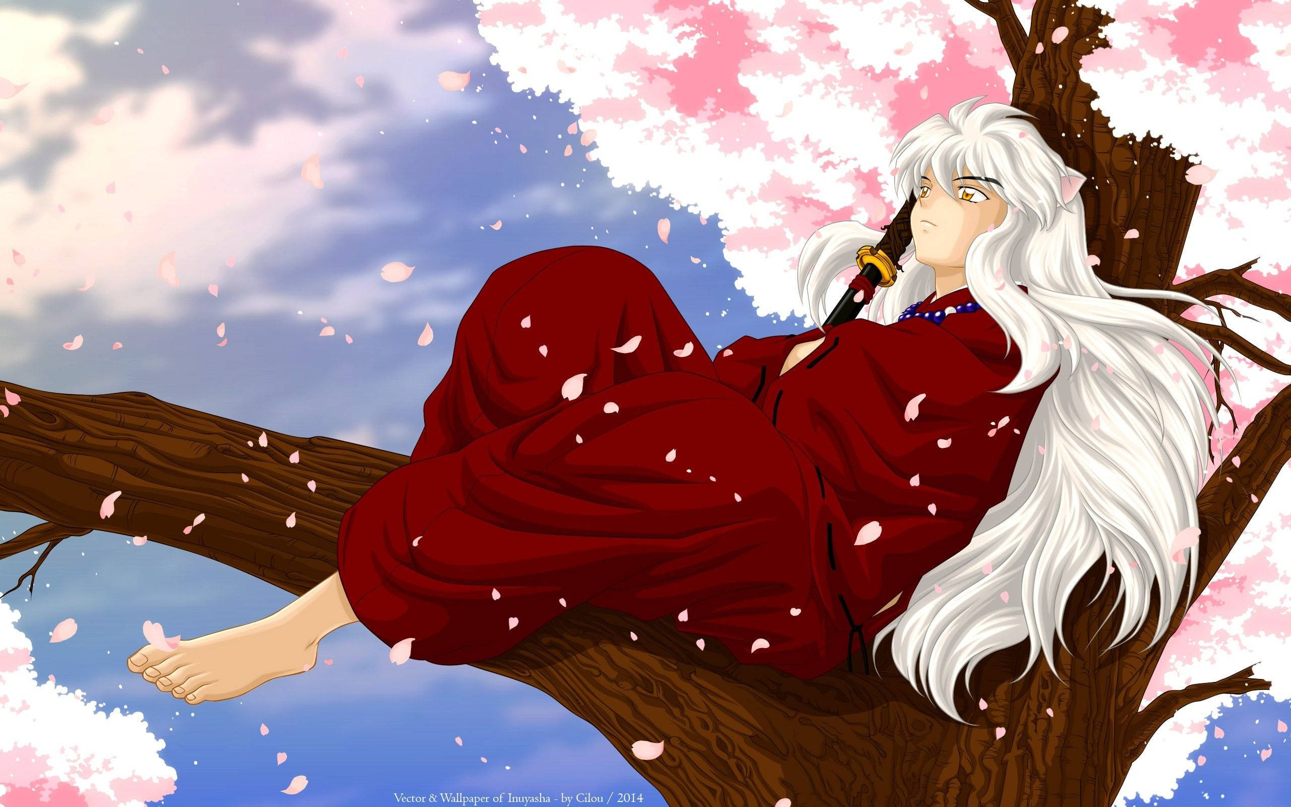 Inuyasha, cherry blossom tree, white-haired anime character, 2K Desktop Wallpaper