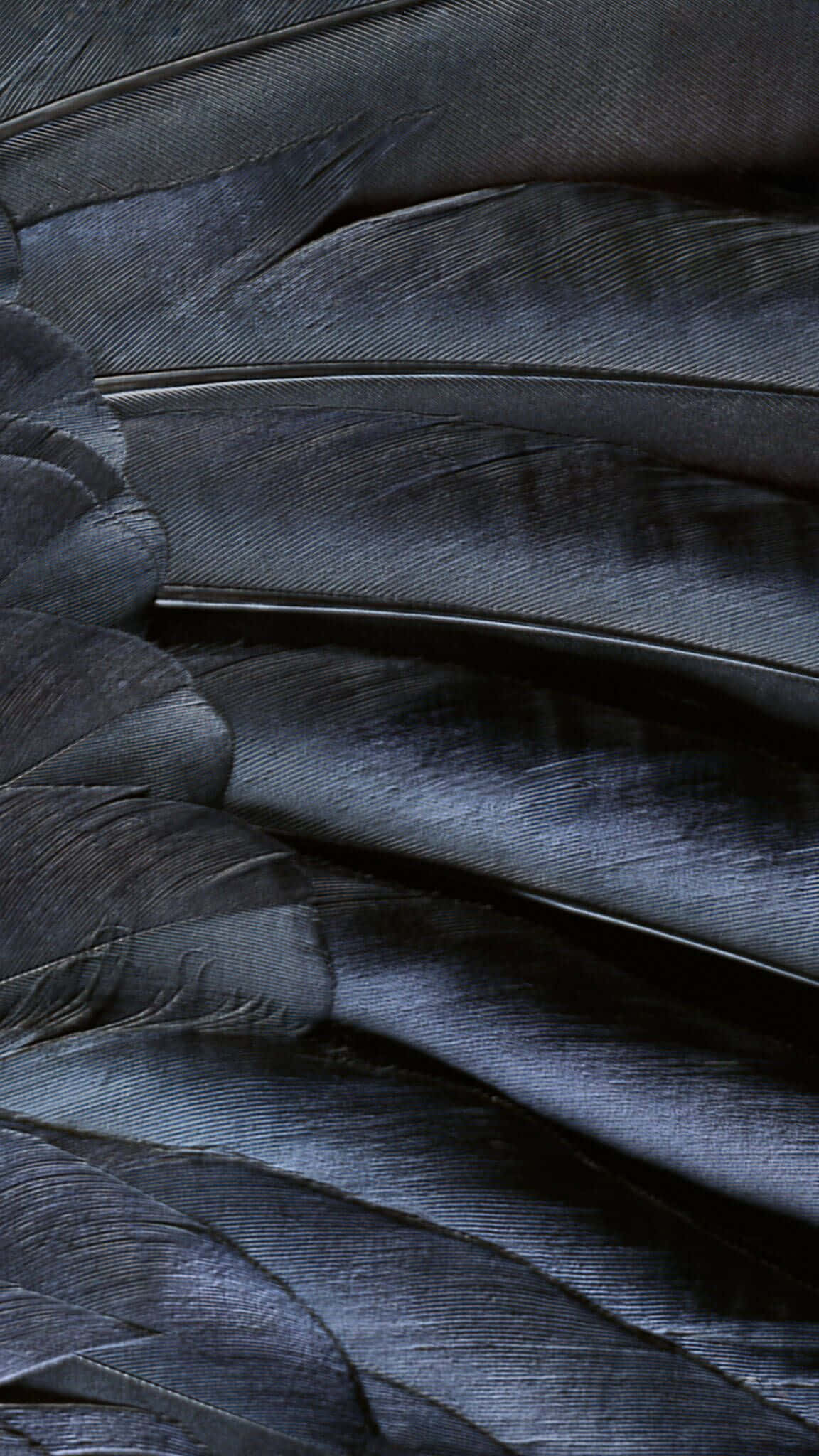 iOS 1, Grey Leathery Wing Texture, dark blue feathers, Full HD Phone Wallpaper