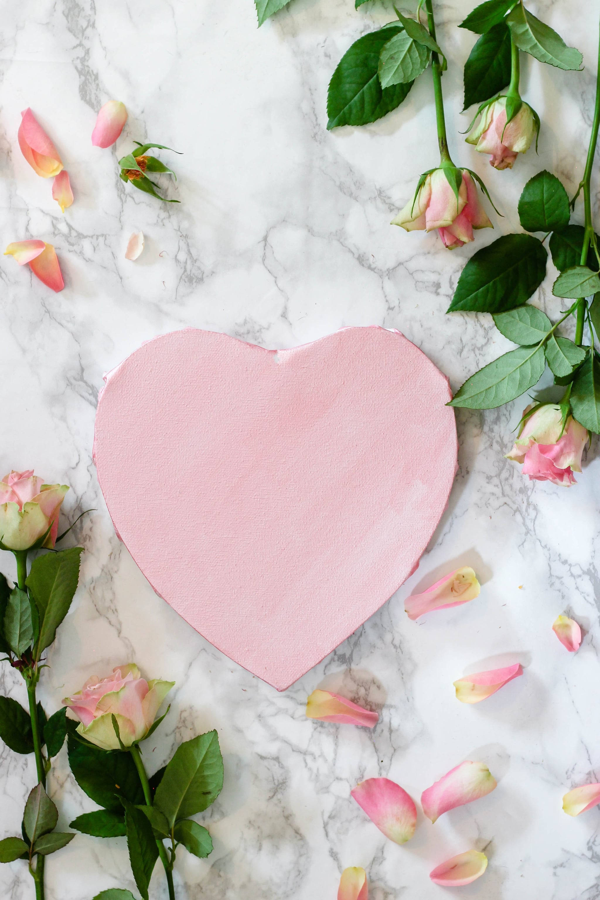 iOS 14, roses, heart, 2K Phone Wallpaper
