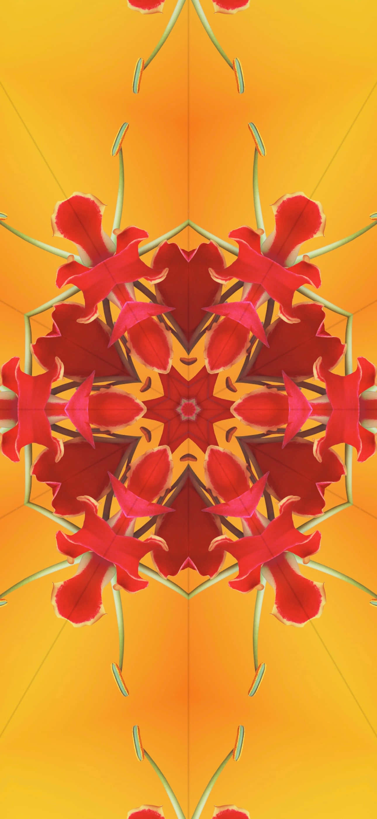 iOS 17, red flowers, symmetrical kaleidoscopic pattern, 2K Phone Wallpaper