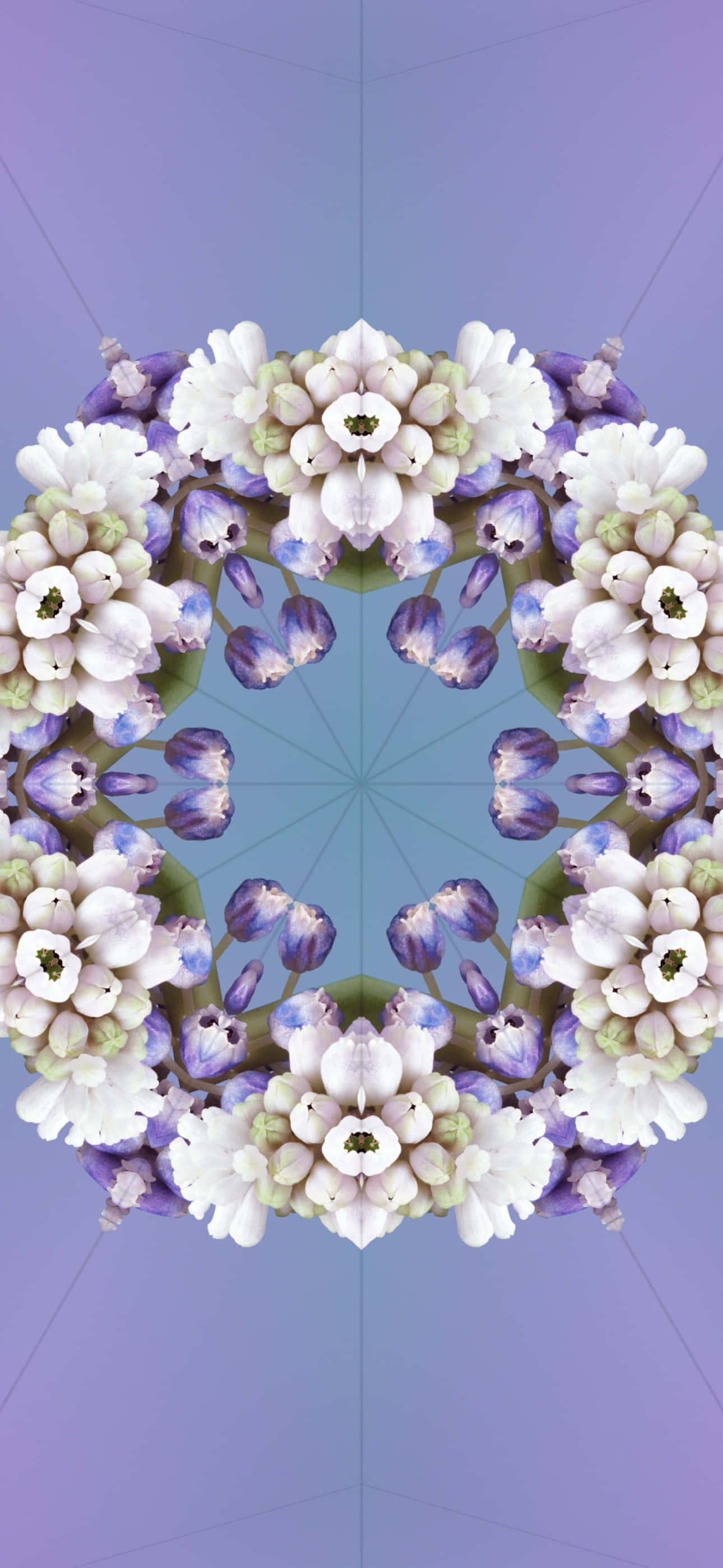 iOS 17, white and purple flowers, kaleidoscopic mandala, 2K Phone Wallpaper