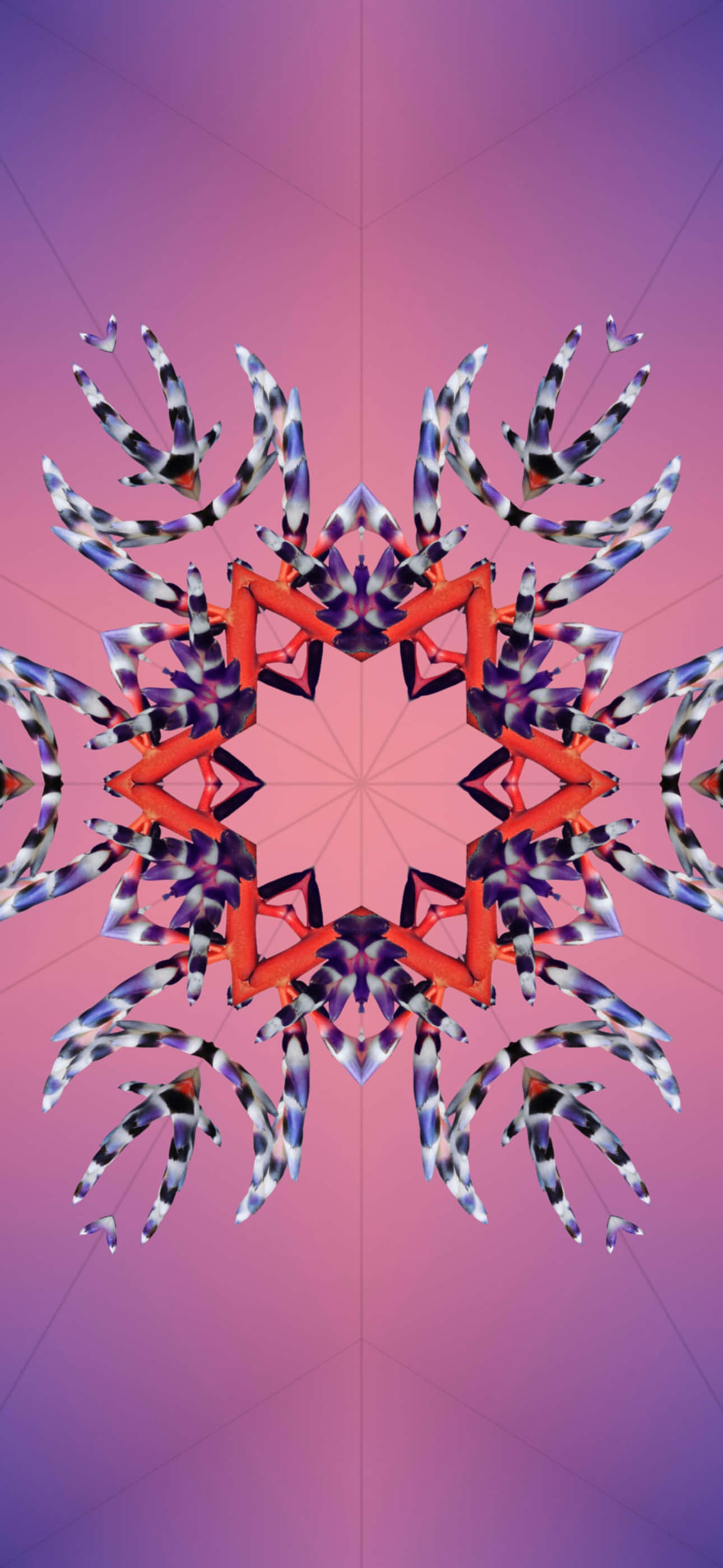 iOS 17, mandala, red orange, 2K Phone Wallpaper