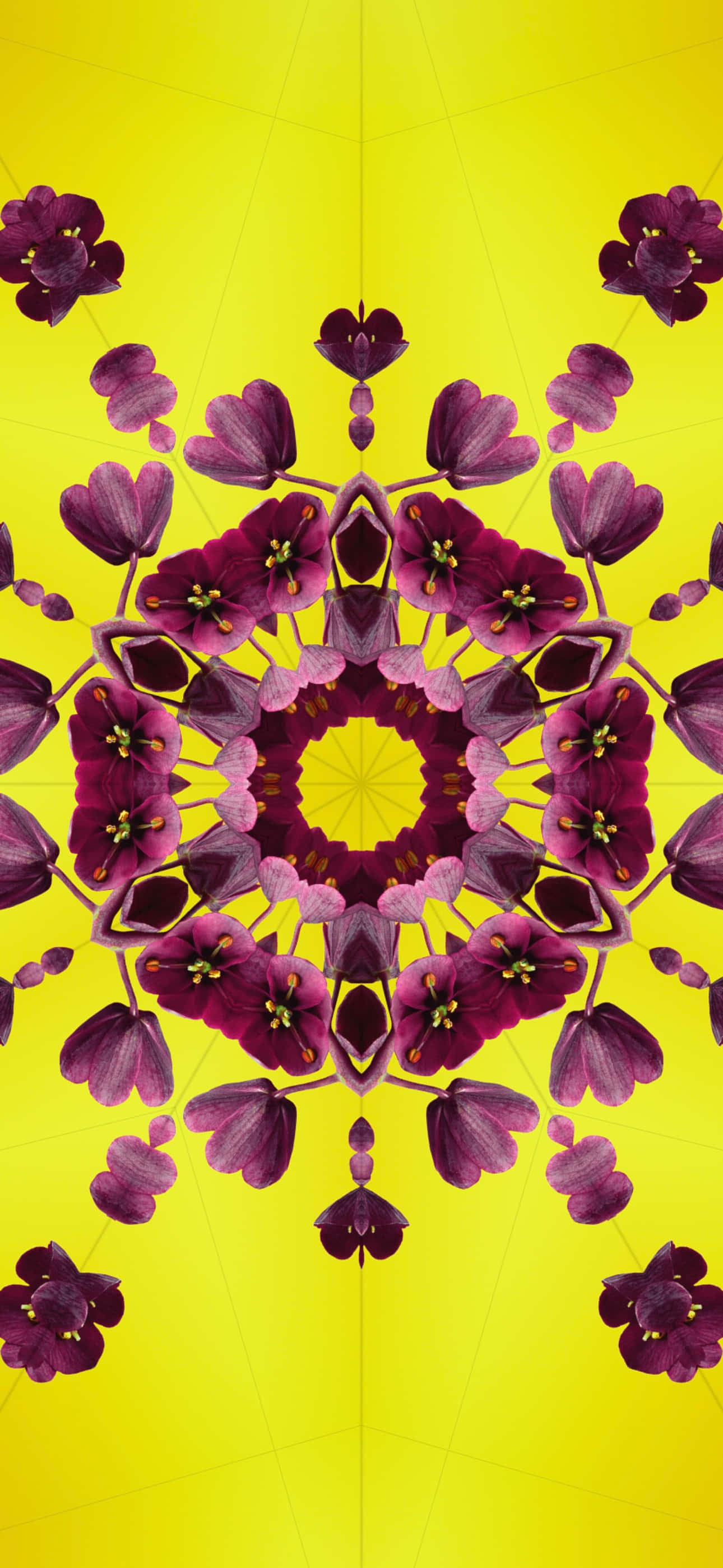 iOS 17, vibrant yellow, symmetrical purple flower mandala pattern, 2K Phone Wallpaper