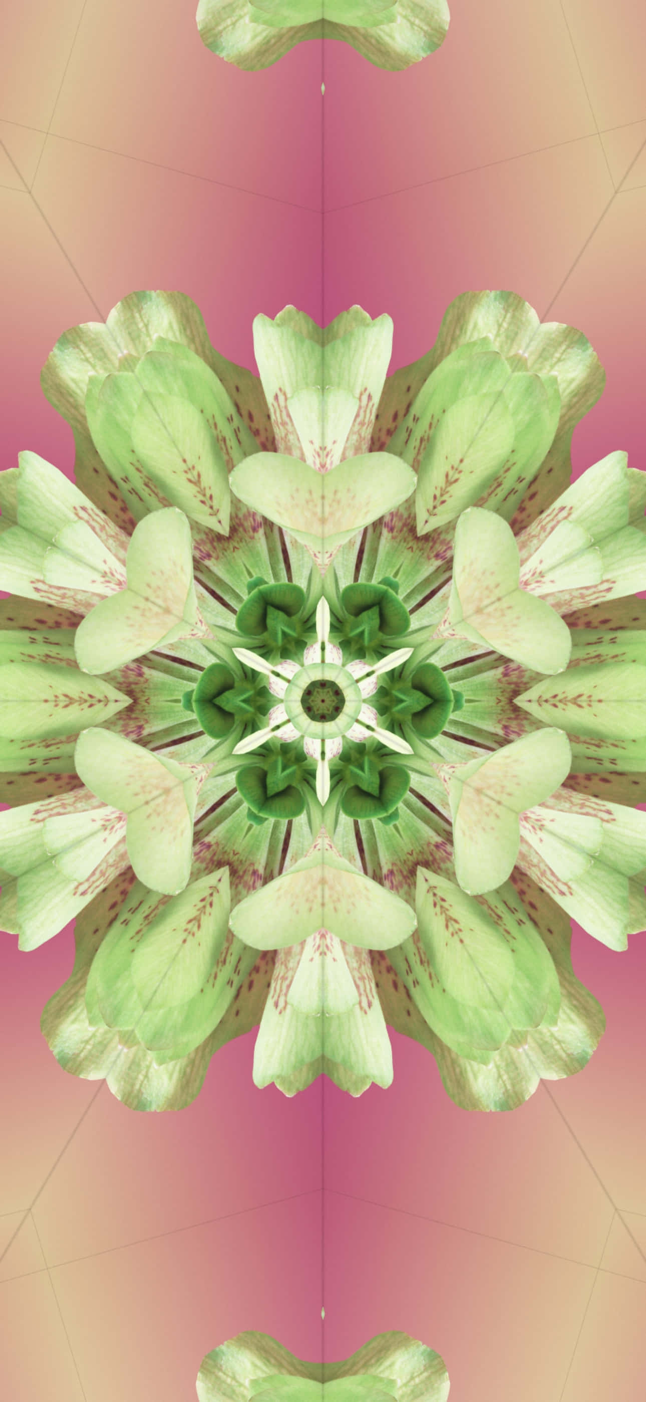 iOS 17, kaleidoscopic floral mandala, green petals, 2K Phone Wallpaper