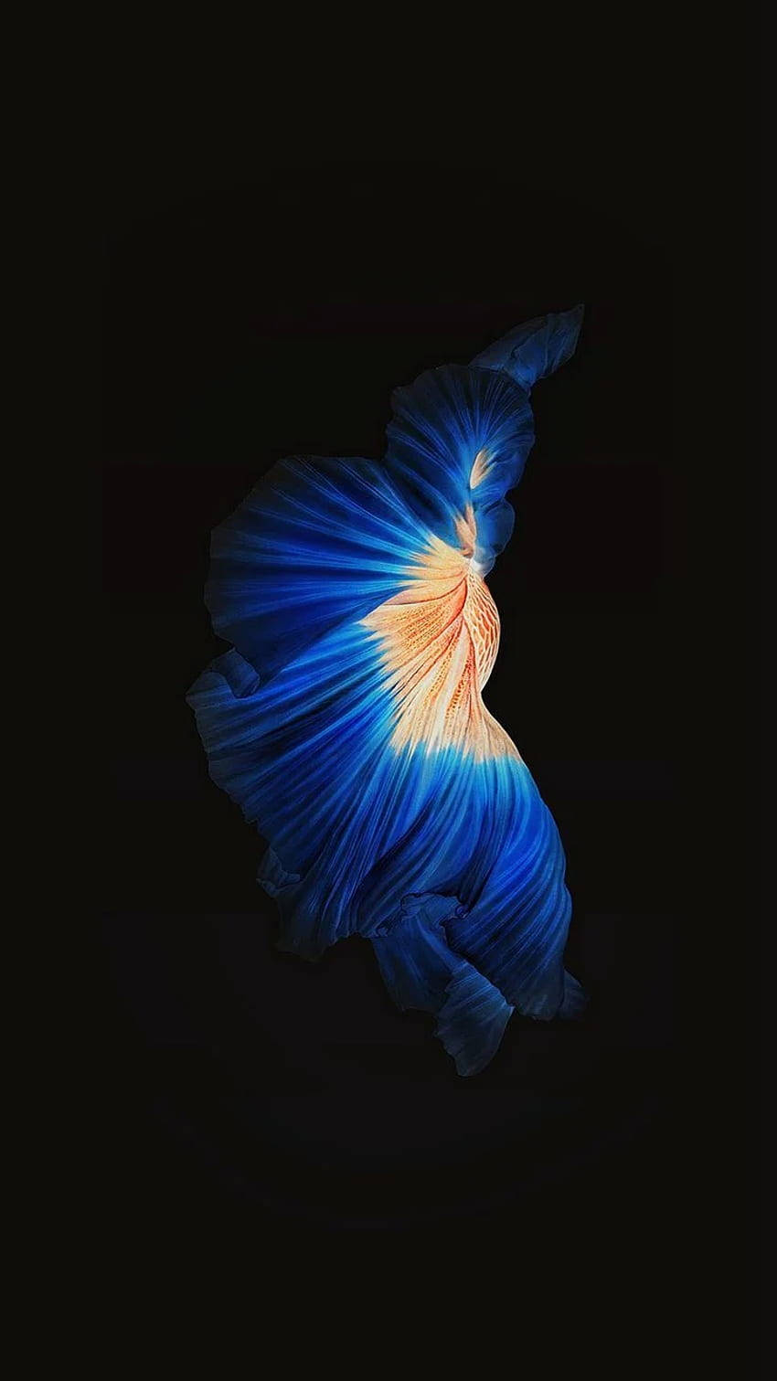 blue, yellow, iOS 6, HD Phone Wallpaper
