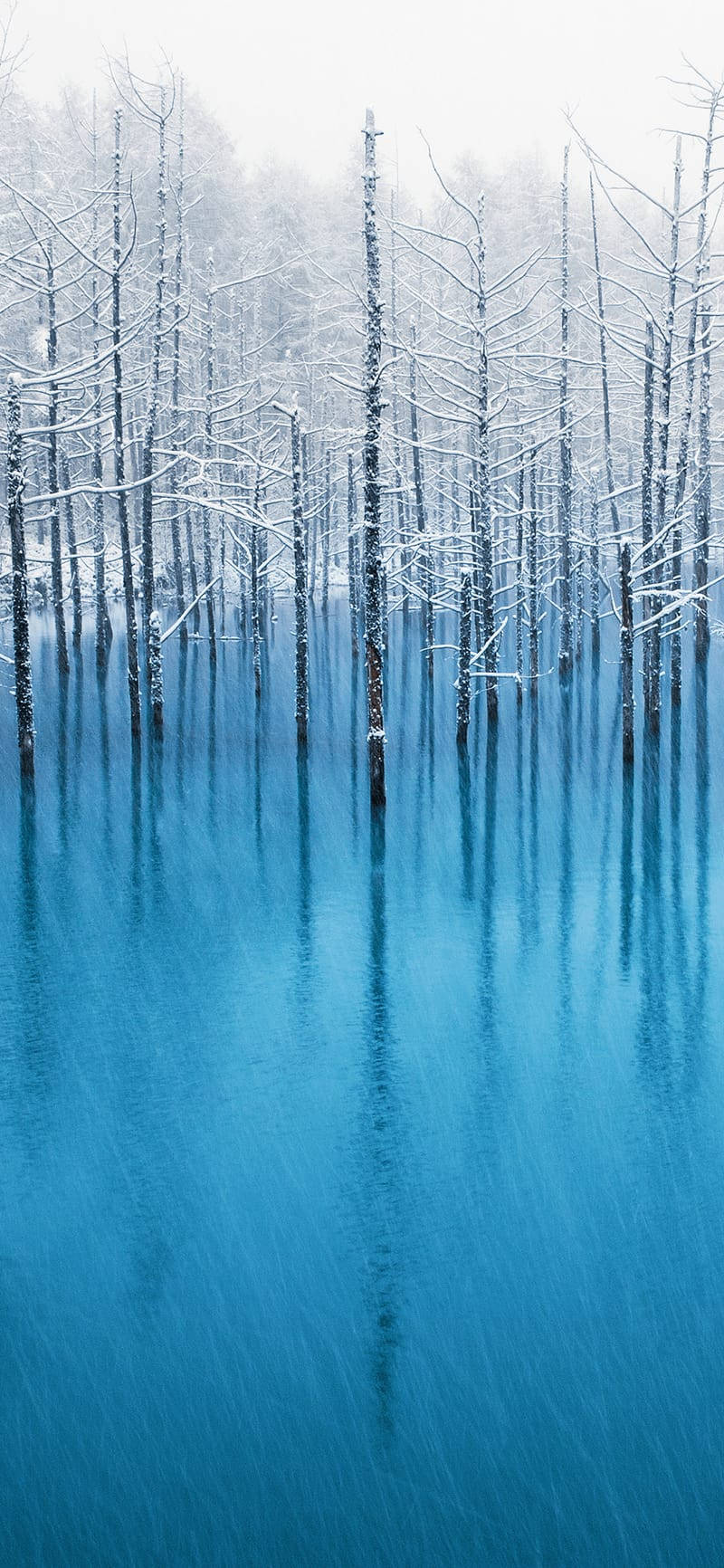 iOS 6, snow-covered trees, serene blue lake, HD Phone Wallpaper