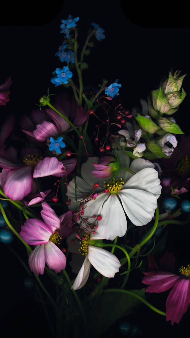 iOS 8, colorful flowers, white, SD Phone Wallpaper