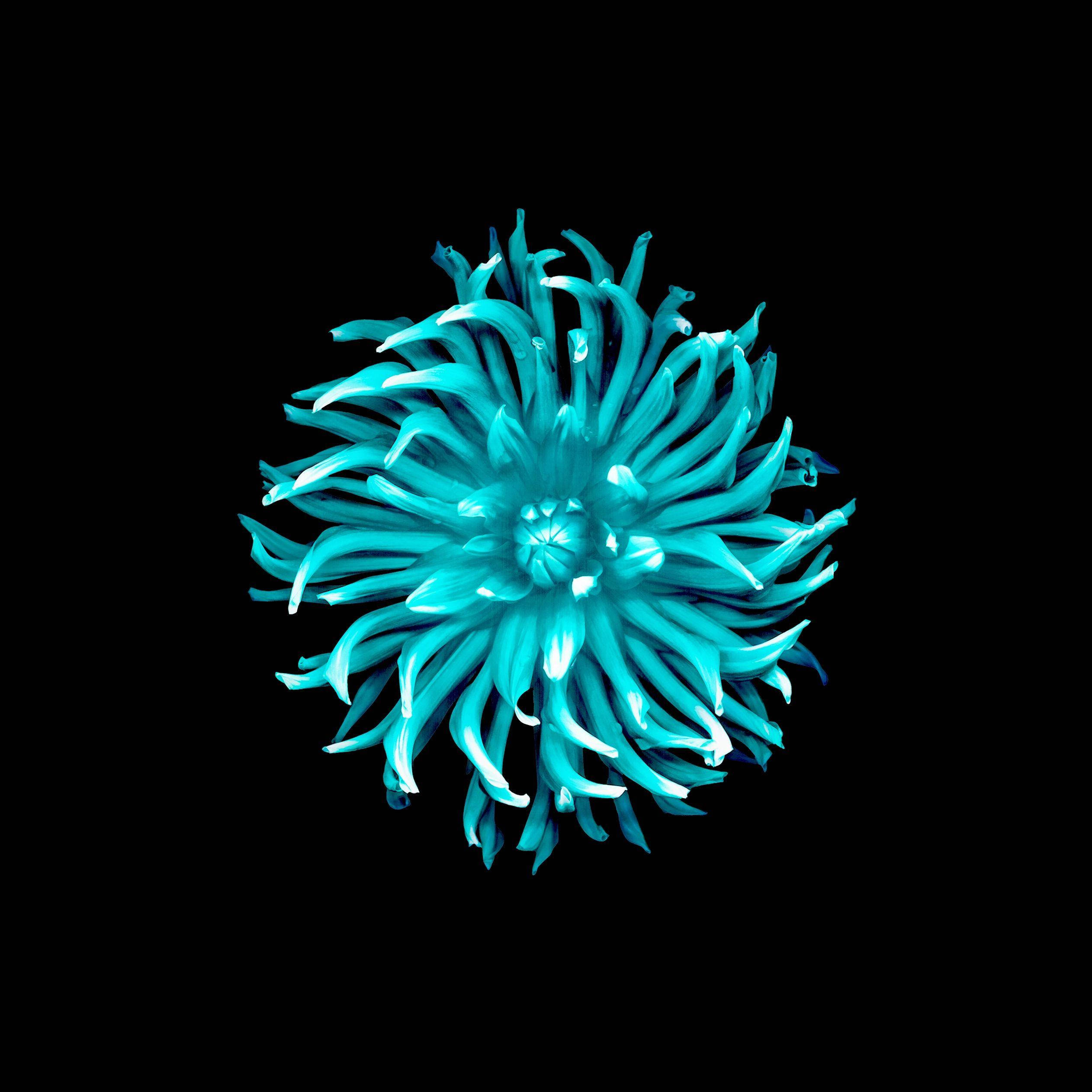 iOS 8, cyan, turquoise, Full HD Desktop Wallpaper