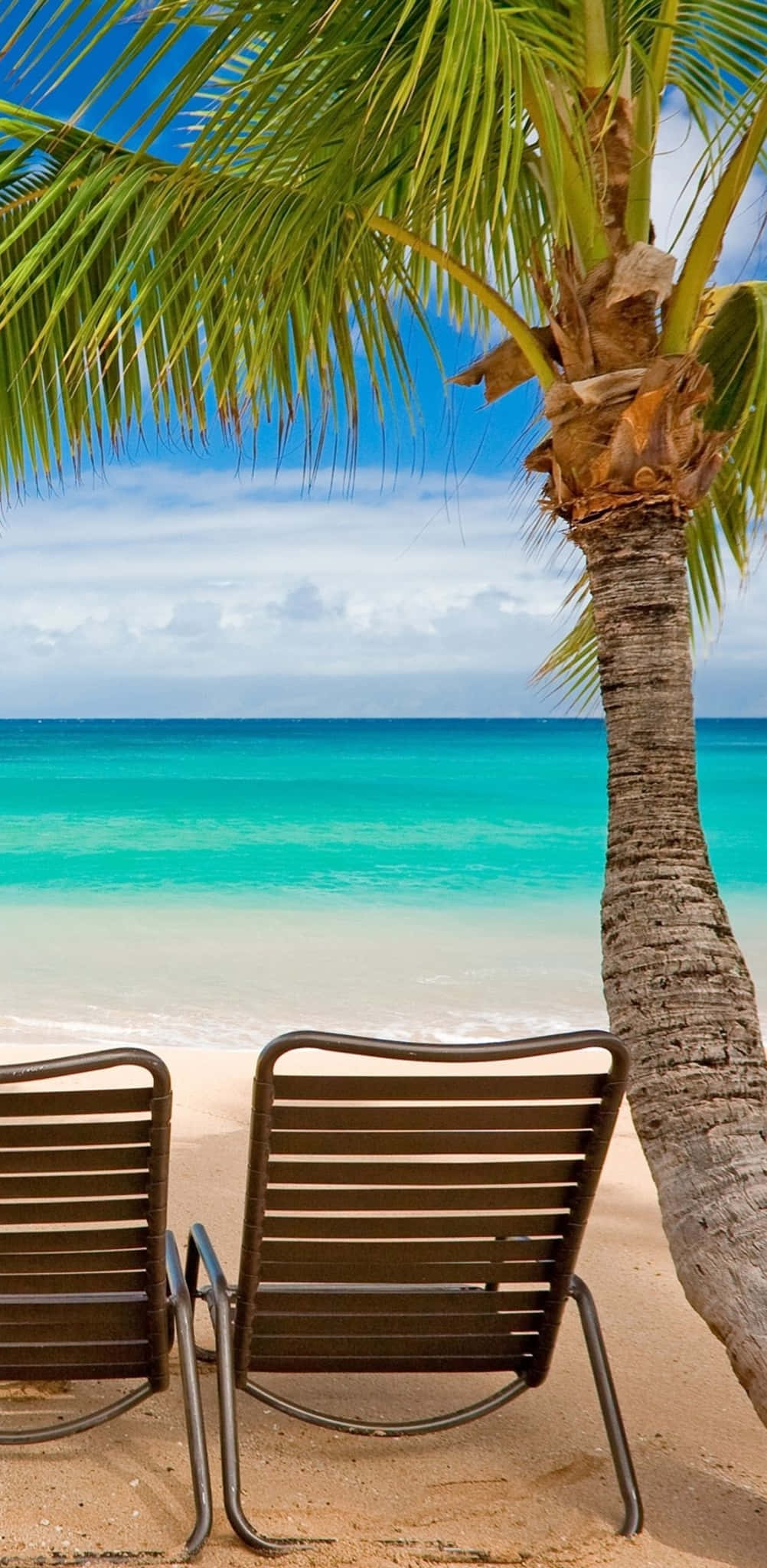 iOS Beach, palm tree, sandy beach, Full HD Phone Wallpaper