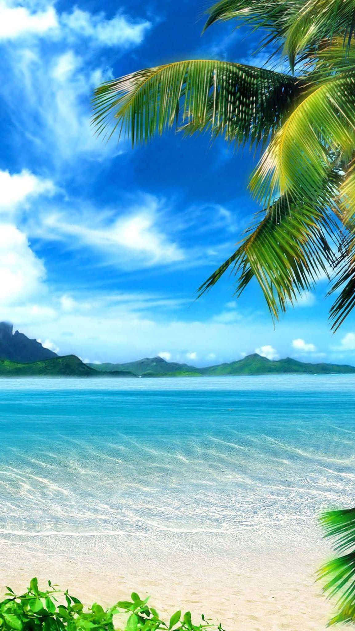 iOS Beach, coconut tree, tropical beach, Full HD Phone Wallpaper