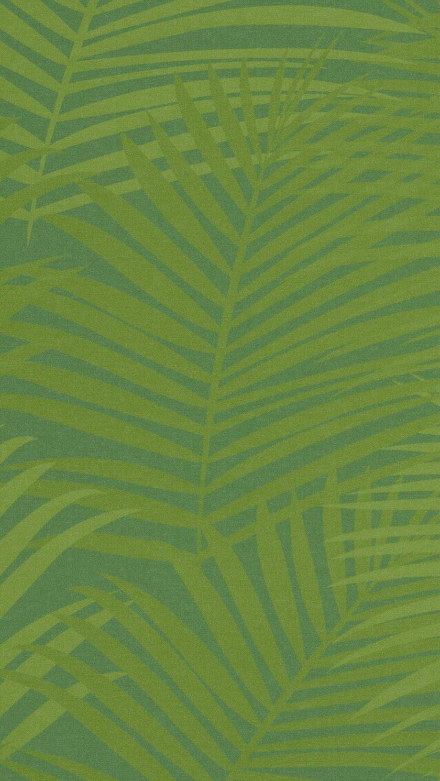iOS 6, tropical palm fronds, layered shades of green, SD Phone Wallpaper