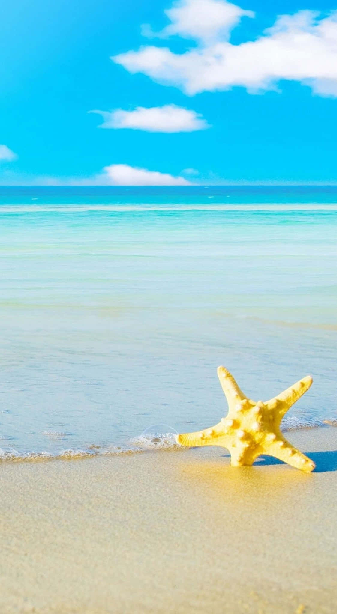 iOS Beach, starfish, golden sand, Full HD Phone Wallpaper