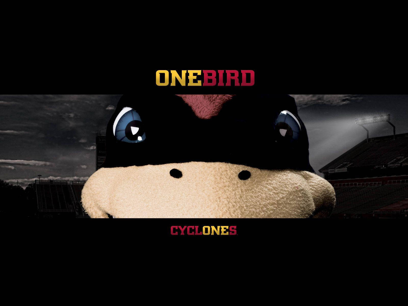 Iowa State University, mascot, black and tan bird, HD Desktop Wallpaper