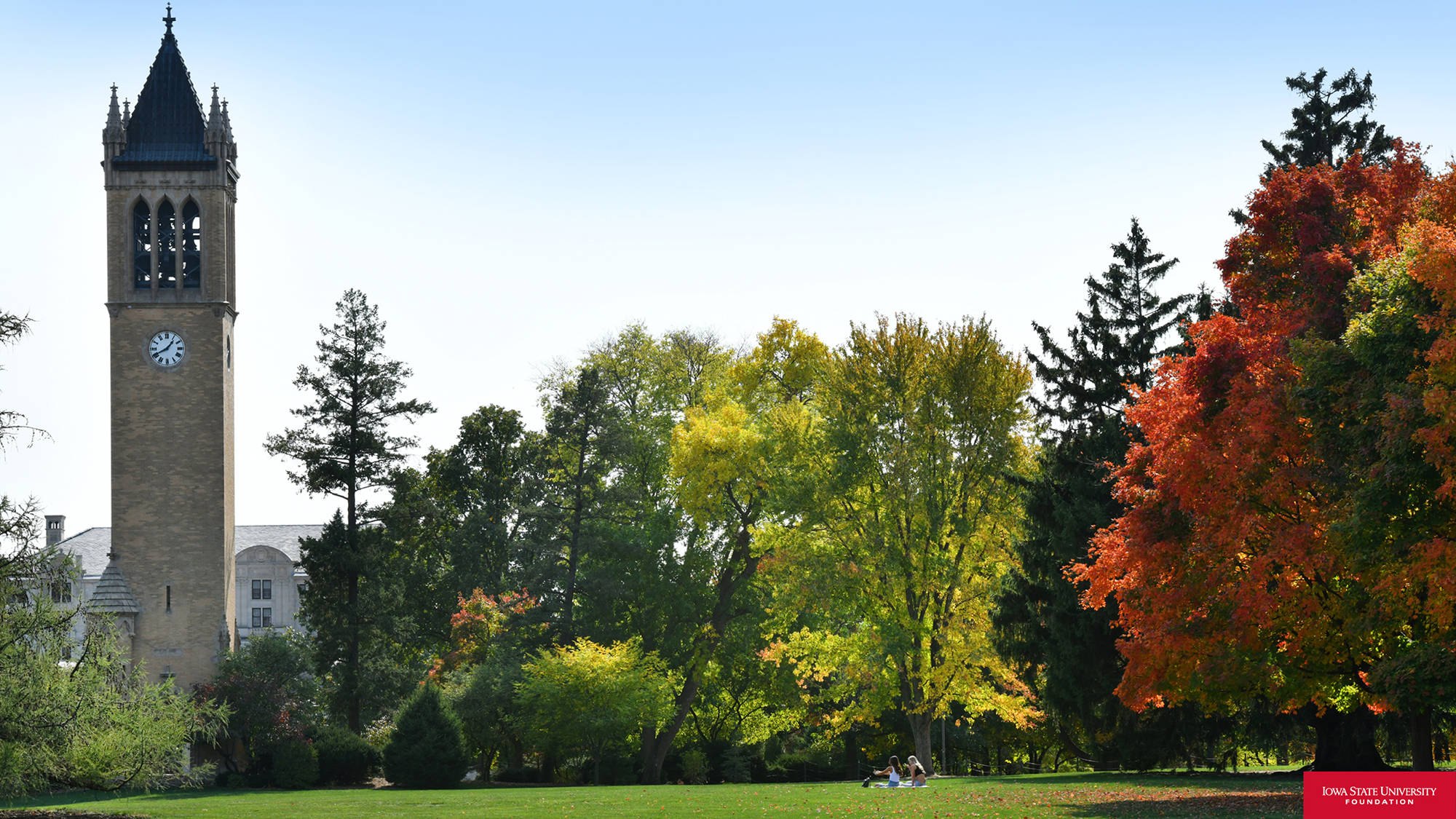 Iowa State University, Evergreens, stone clock tower, Full HD Desktop Wallpaper