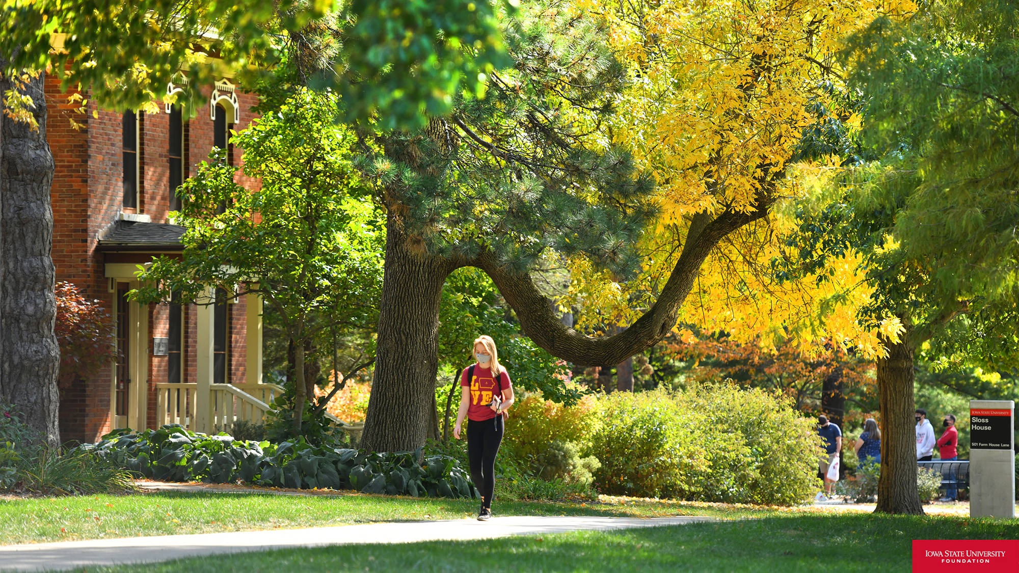 Iowa State University, sunlit campus path, vibrant green and golden autumn trees, Full HD Desktop Wallpaper