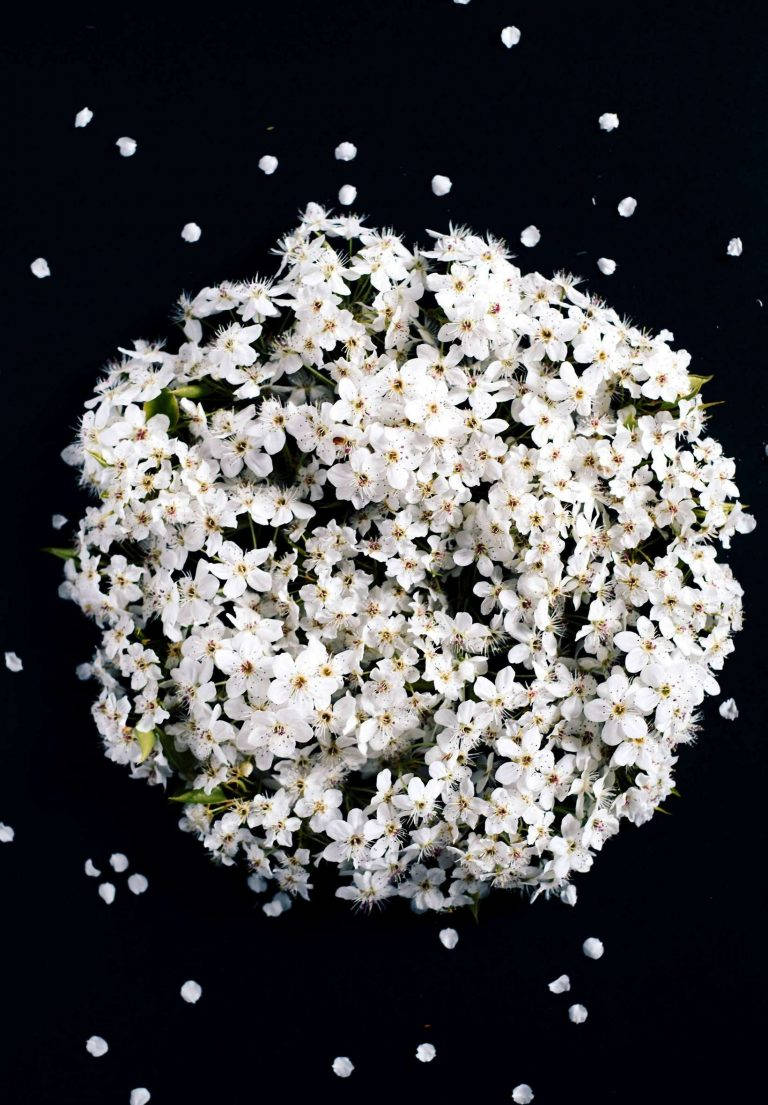 iPad 2021, white flower bouquet, white blossoms, SD Phone Wallpaper