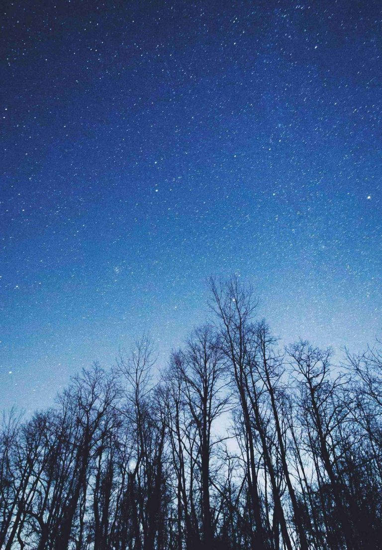 starry sky, trees, iPad 2021, SD Phone Wallpaper