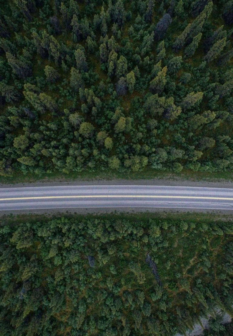 iPad 2021, Forest Road, aerial view, SD Phone Wallpaper