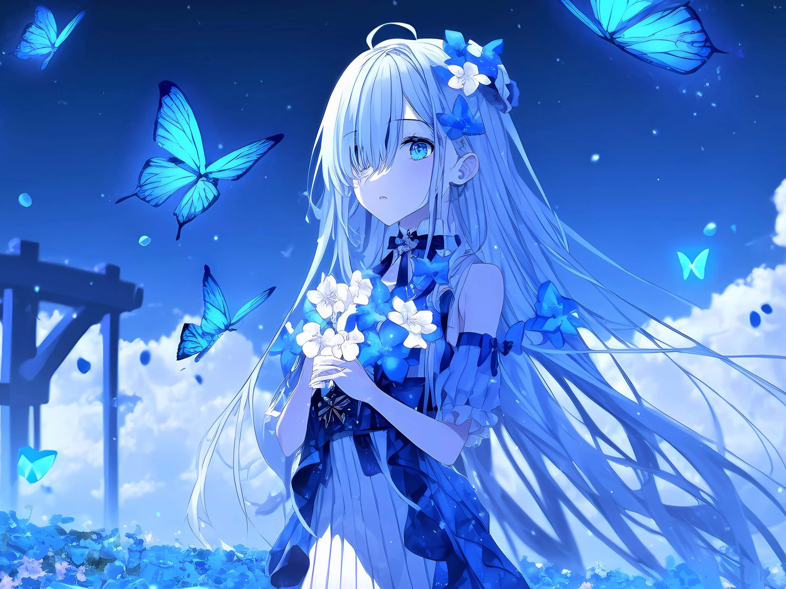 blue butterfly, anime girl, silver hair, 2K Desktop Wallpaper