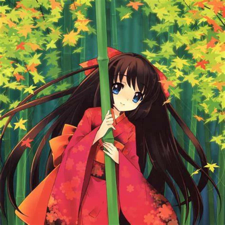 anime girl, red kimono, bamboo forest, SD Desktop Wallpaper