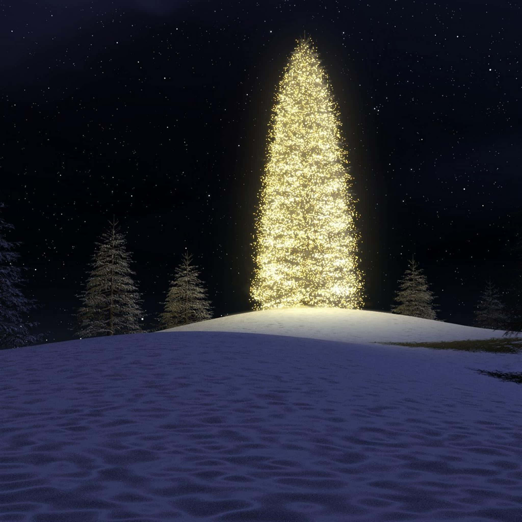 iPad, Christmas, Christmas tree, Full HD Desktop Wallpaper