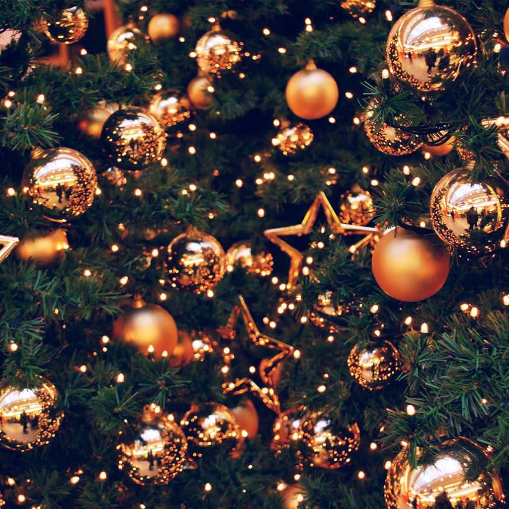 iPad, Christmas, lush green Christmas tree, SD Desktop Wallpaper