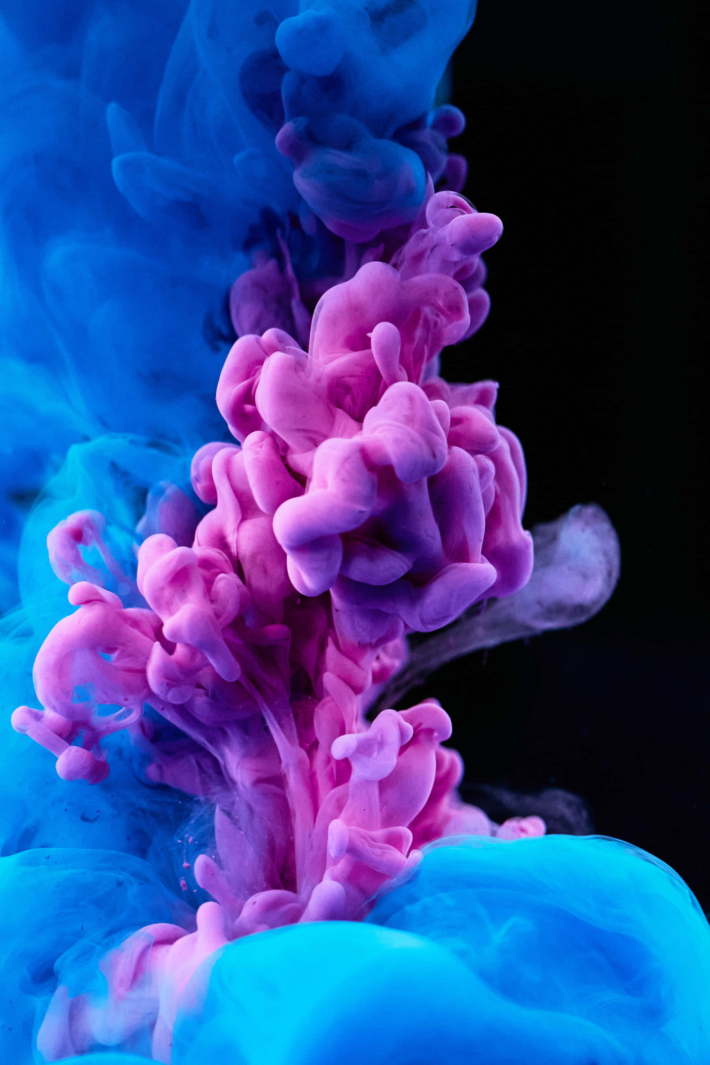iPad, vivid pink, electric blue, 2K Phone Wallpaper