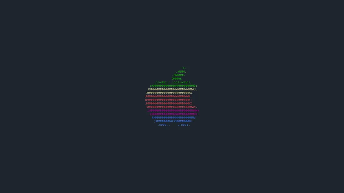iPad Lock Screen