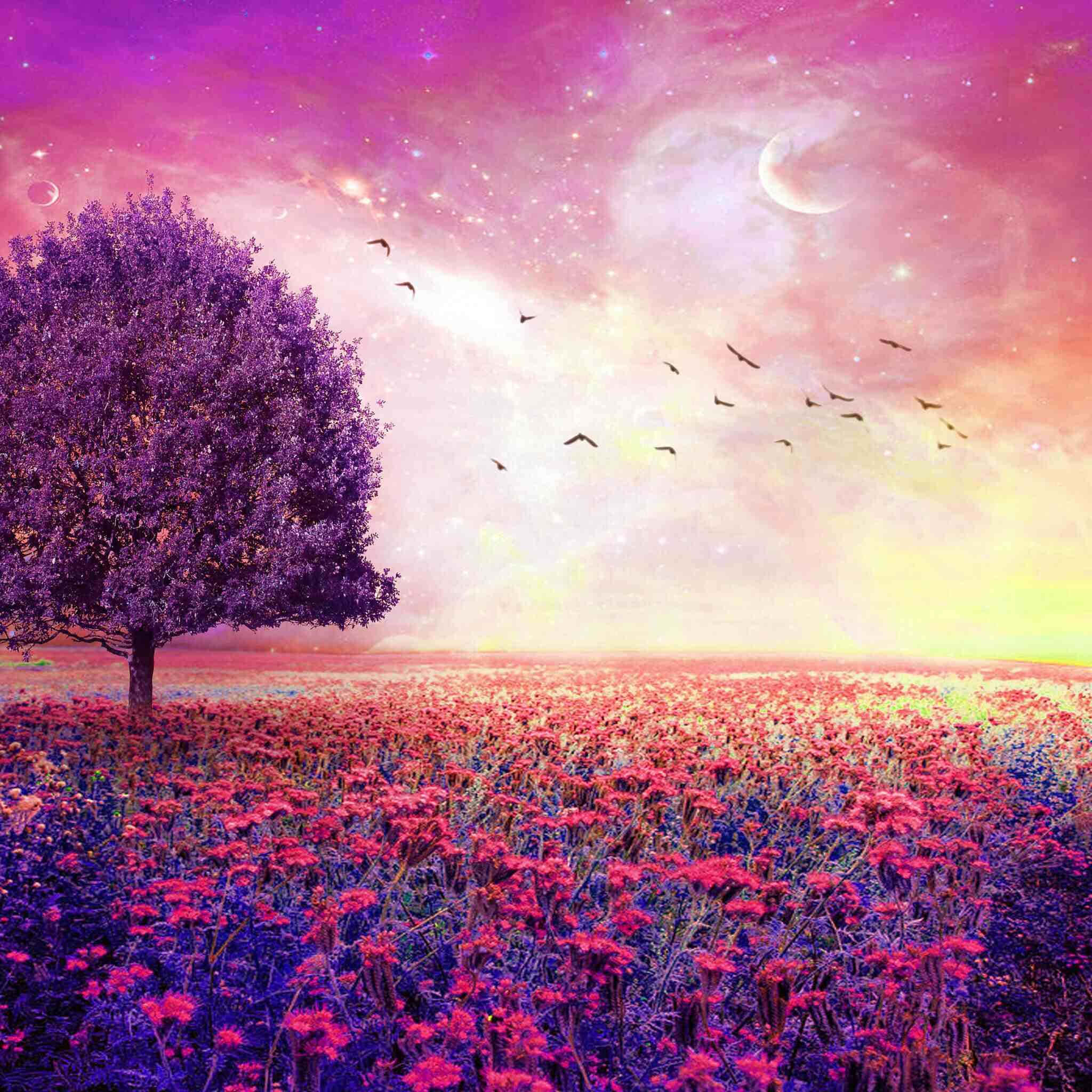 purple tree, pink flowers, twilight sky, Full HD Desktop Wallpaper