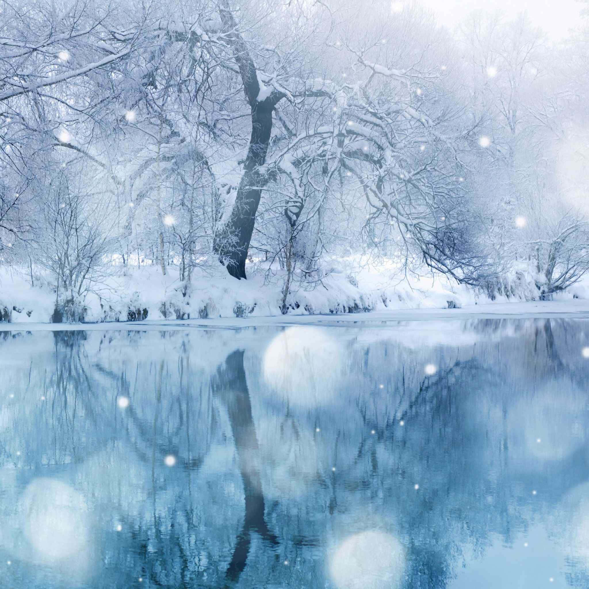 iPad Lock Screen, snow, bare trees, Full HD Desktop Wallpaper