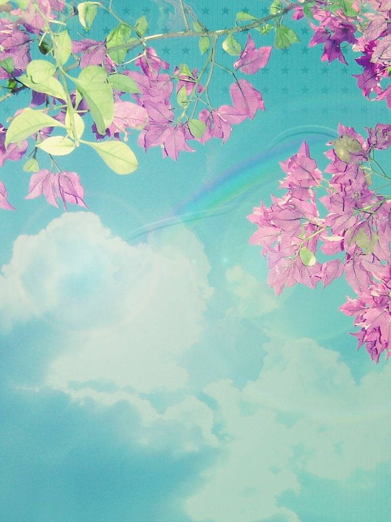 iPad Mini, spring sky, pink bougainvillea, SD Phone Wallpaper
