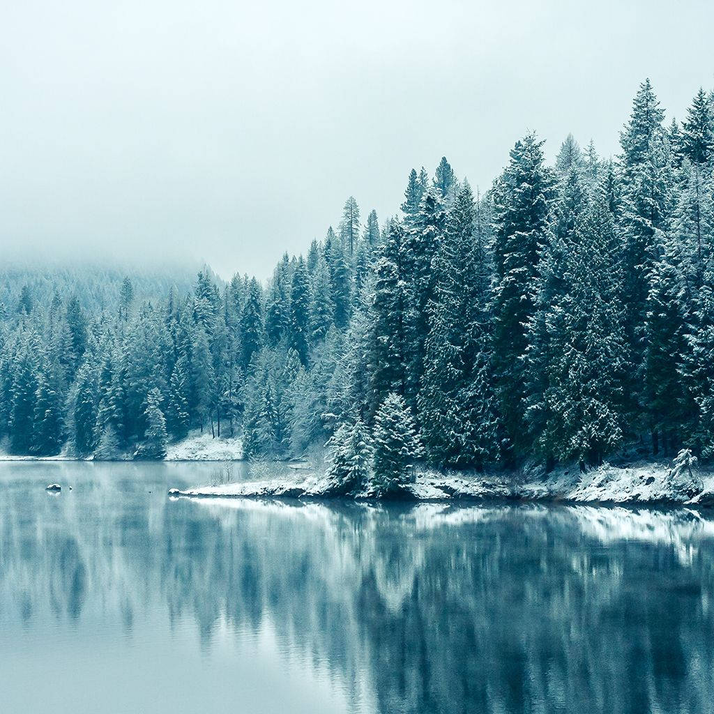Frosted Lake View, iPad Mini, snow, SD Desktop Wallpaper