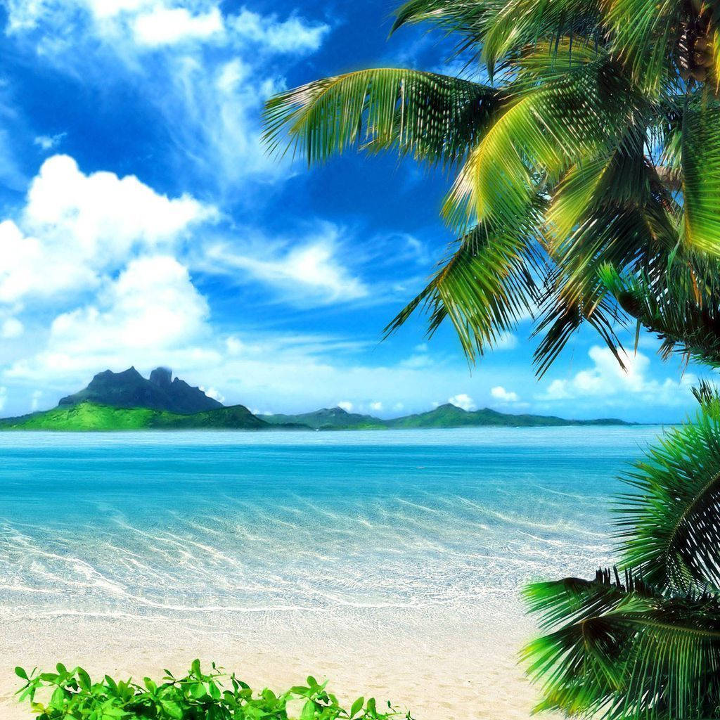 Tropical Coast, iPad Mini, turquoise waters, SD Desktop Wallpaper