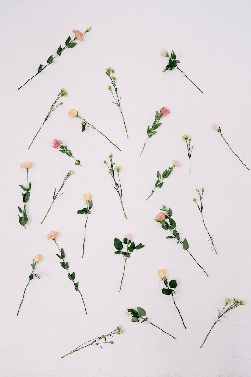 iPad Pro, cute, thin, SD Phone Wallpaper