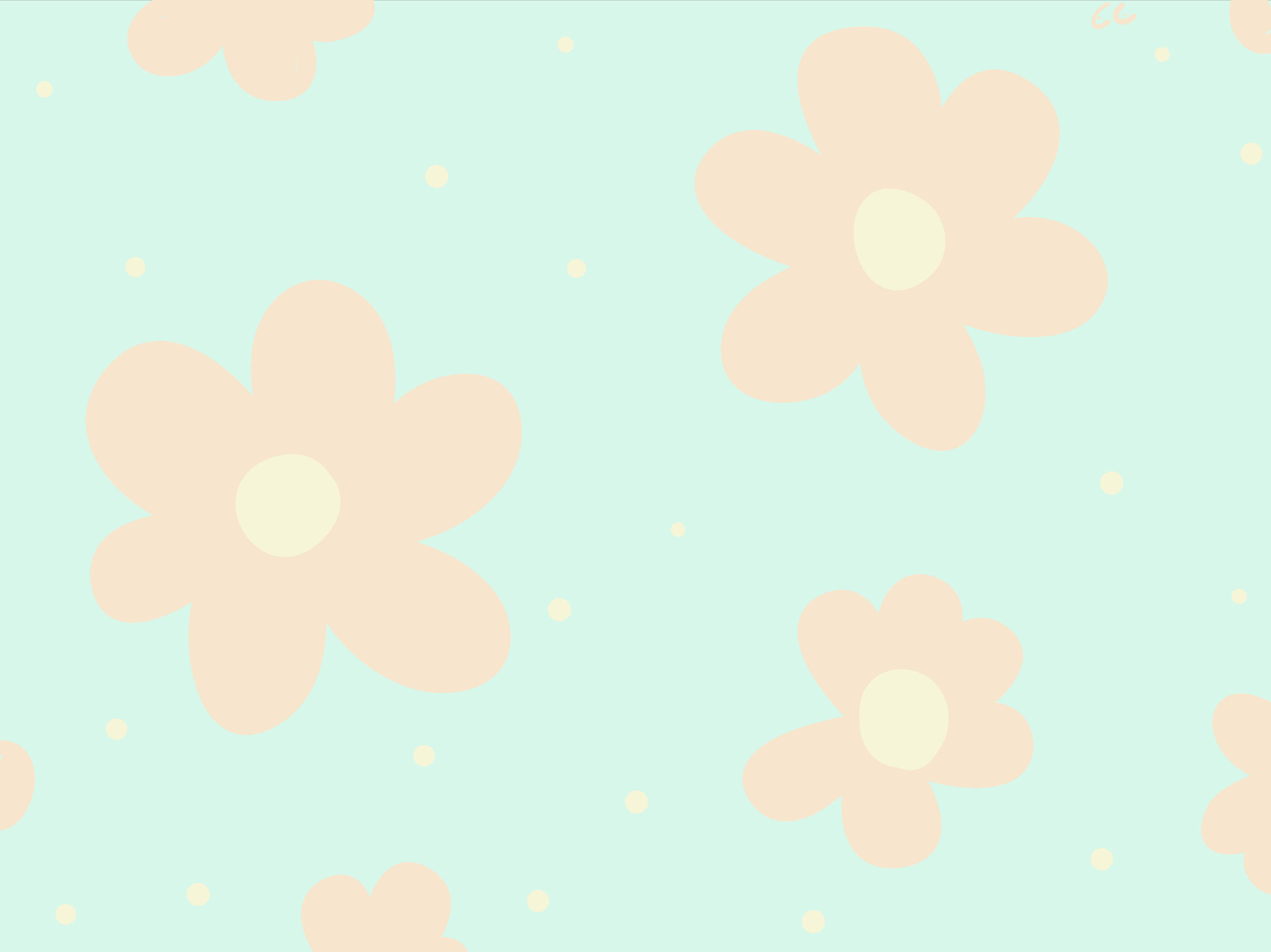 iPad Pro, pink flowers, mint green background, 2K Desktop Wallpaper