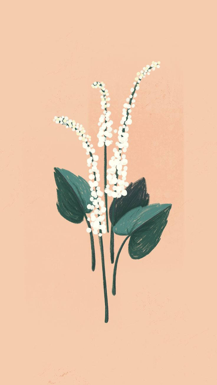 iPad Pro, white flower stems, dark green leaves, HD Phone Wallpaper