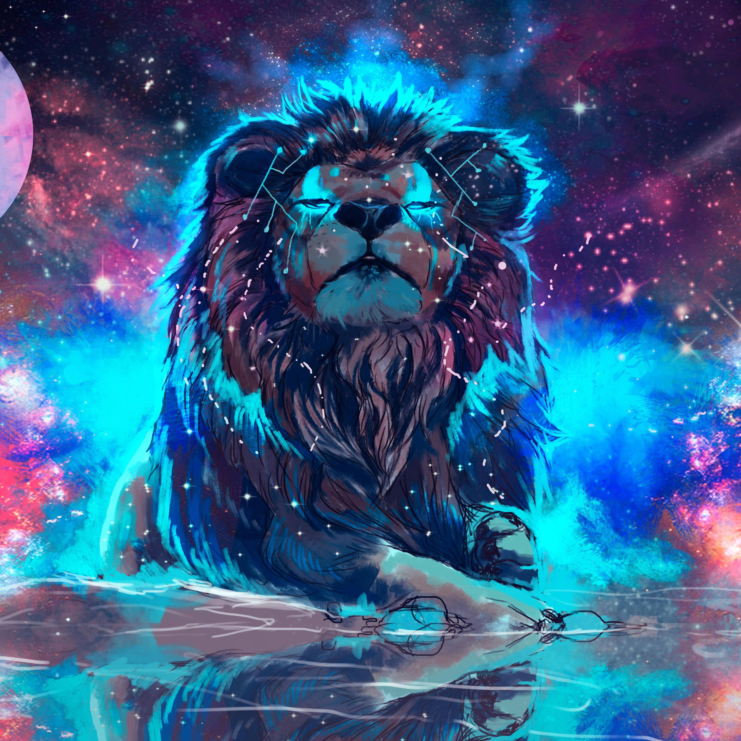 iPad Pro, lion, cosmic fur, 2K Desktop Wallpaper