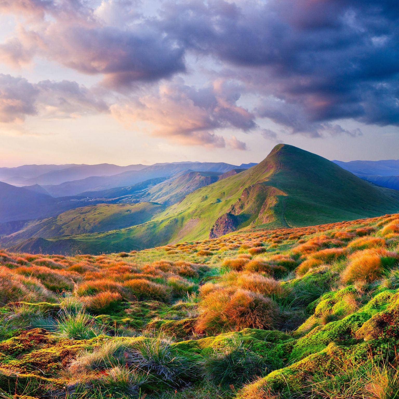 iPad Pro, grassy hill, morning, HD Desktop Wallpaper
