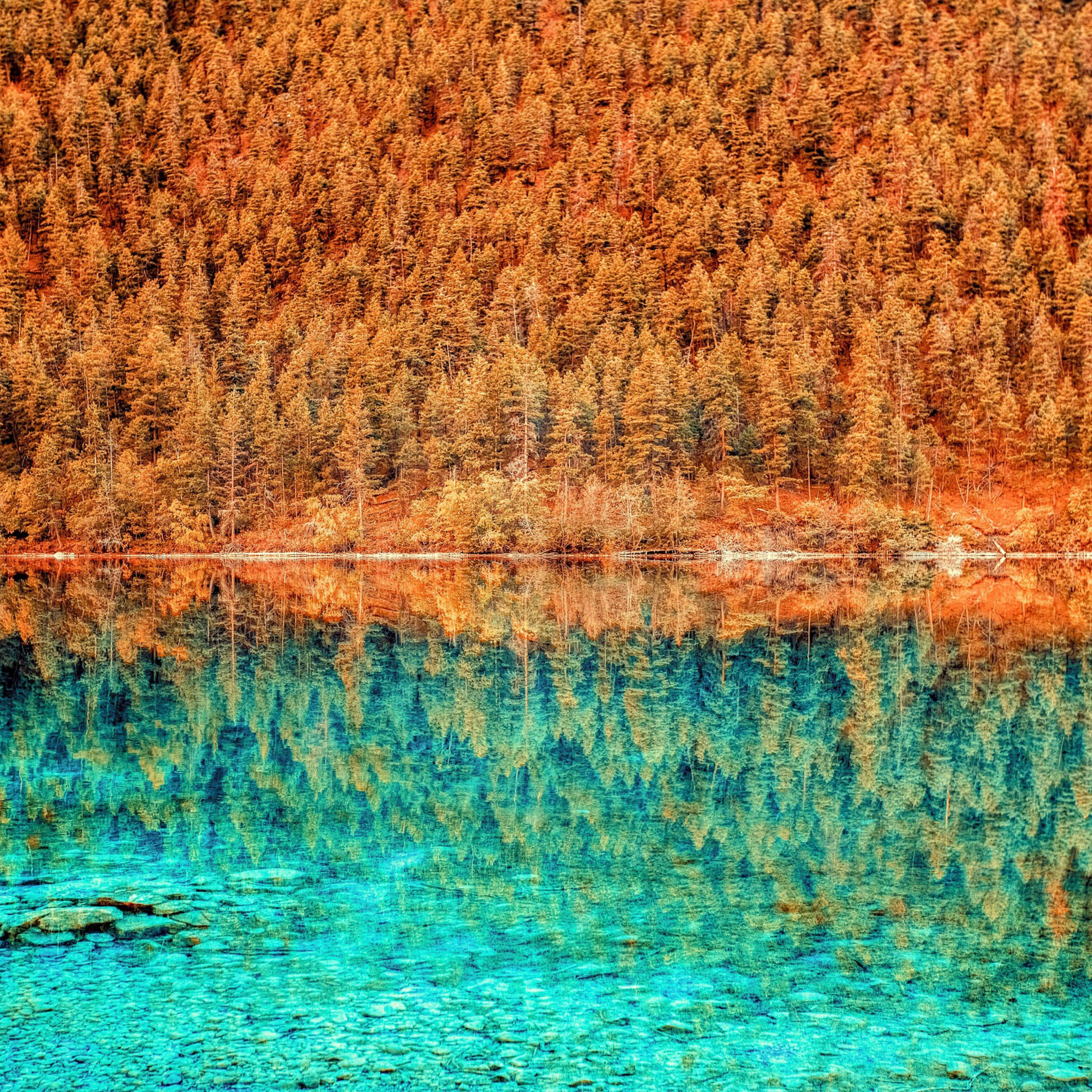 iPad Pro, trees, lake, 2K Desktop Wallpaper