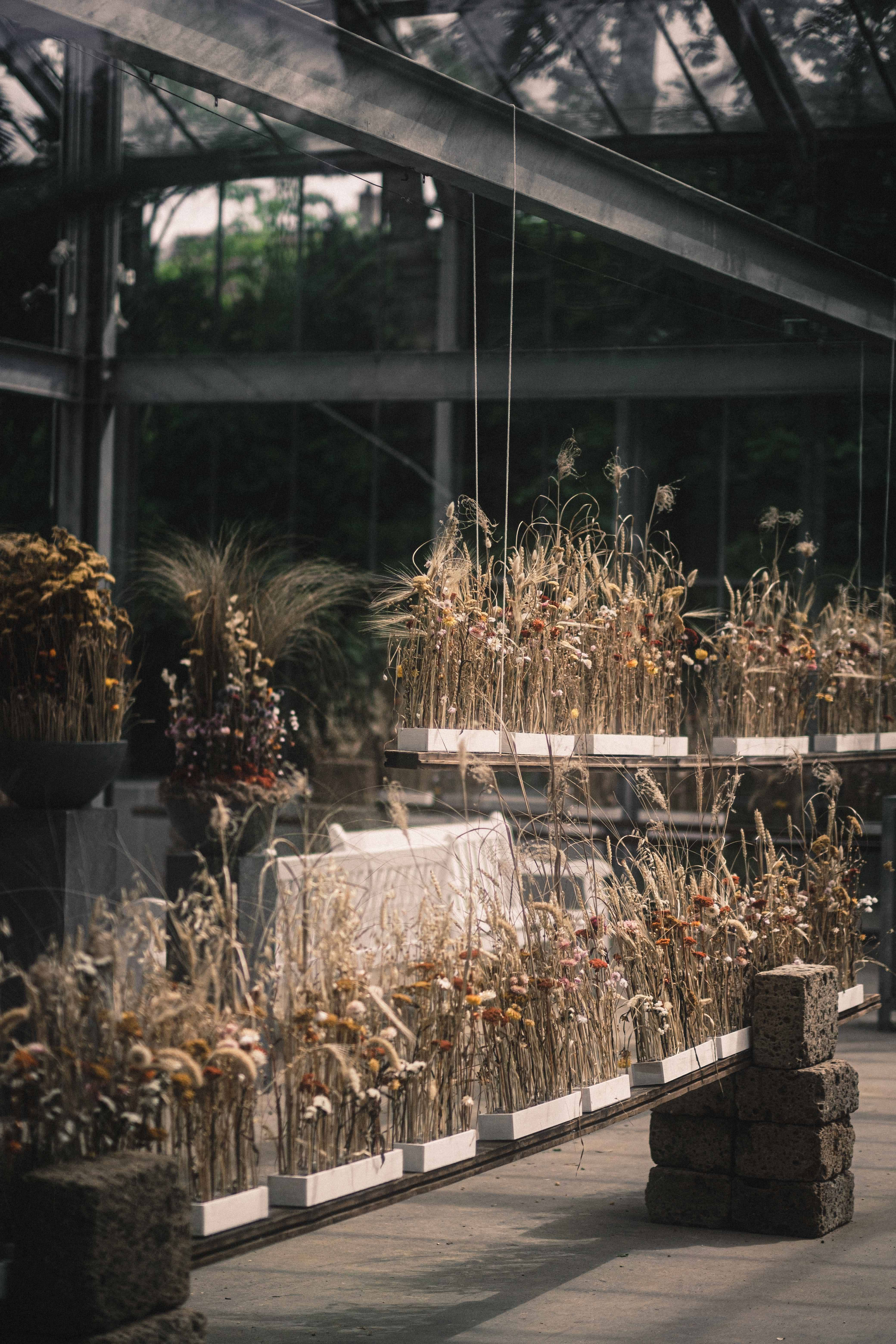 iPhone 11 Pro Max, 4K, dried grasses, 5K Phone Wallpaper