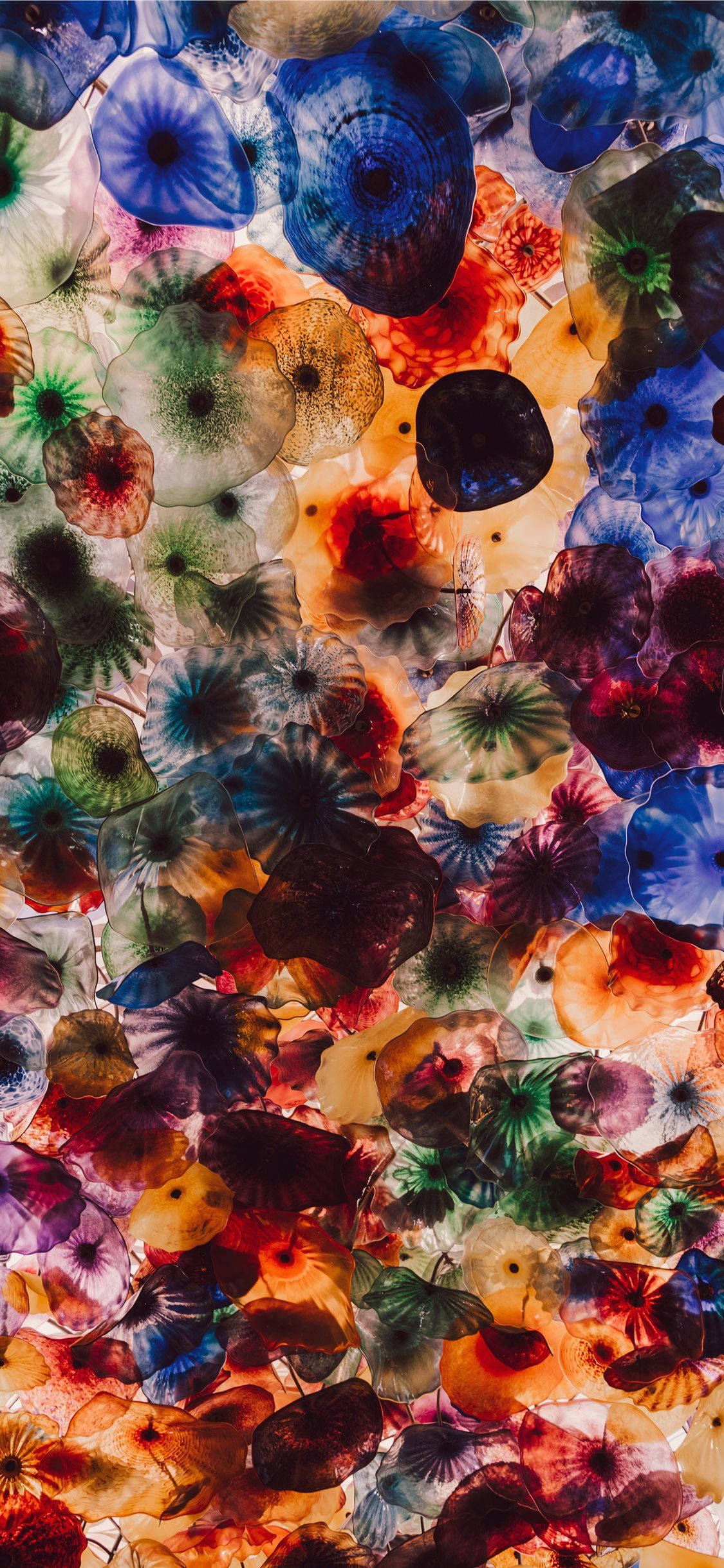 iPhone 11 Pro Max, colorful jellyfish, blues, Full HD Phone Wallpaper