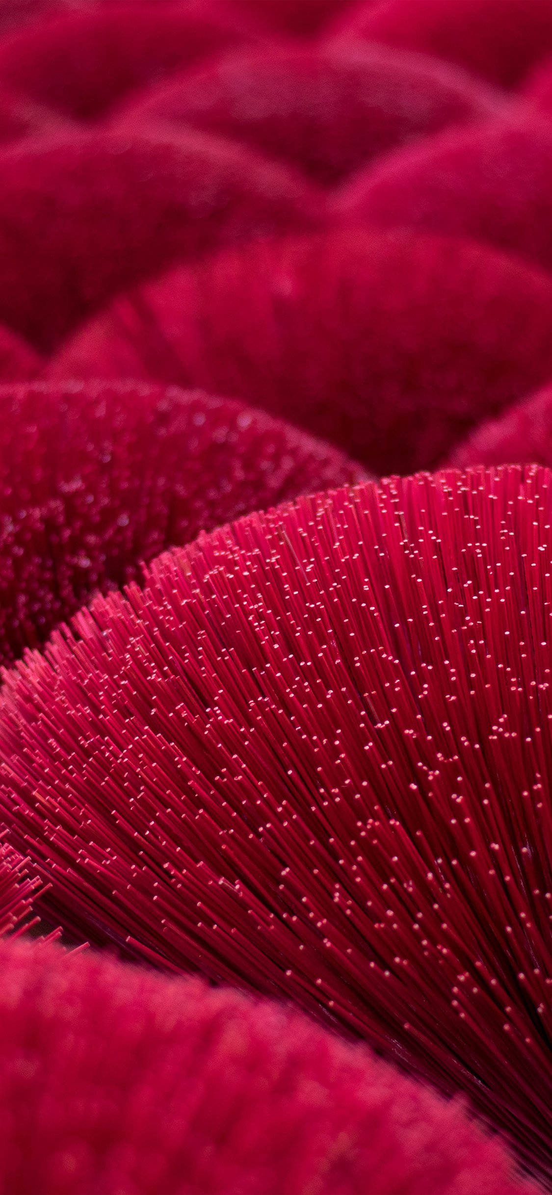 iPhone 11 Pro Red, vibrant red, fiber optic strands, Full HD Phone Wallpaper