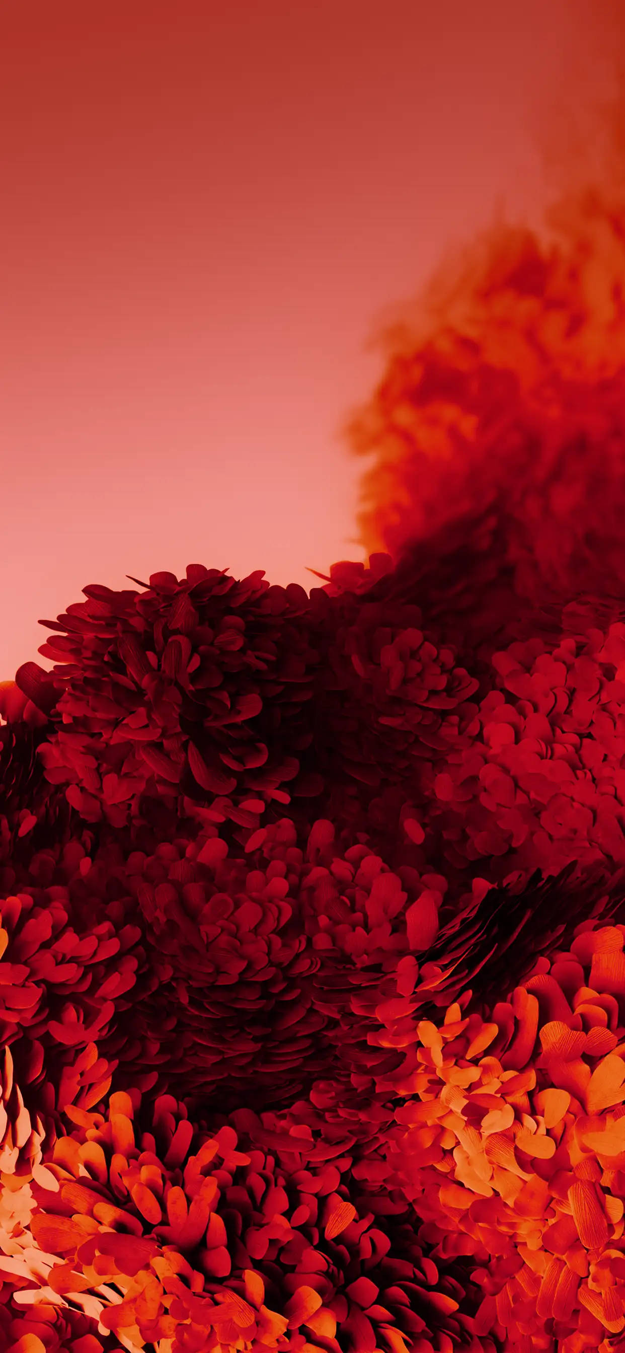iPhone 11 Pro Red, red, orange, 2K Phone Wallpaper