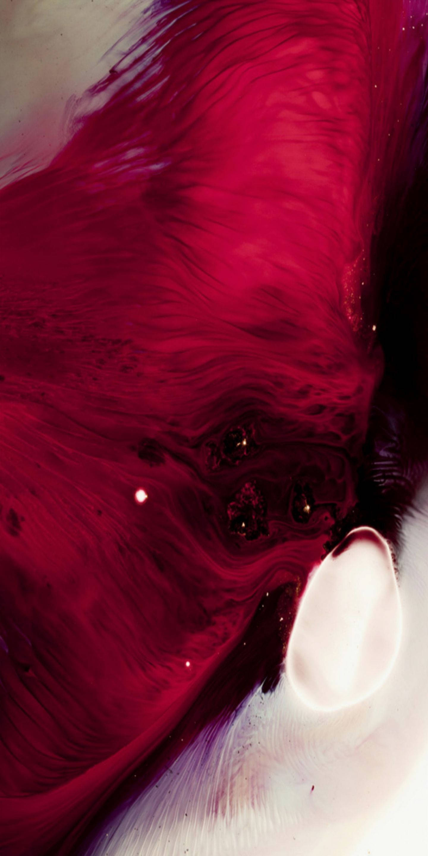 iPhone 11 Pro Red, crimson, white, 2K Phone Wallpaper