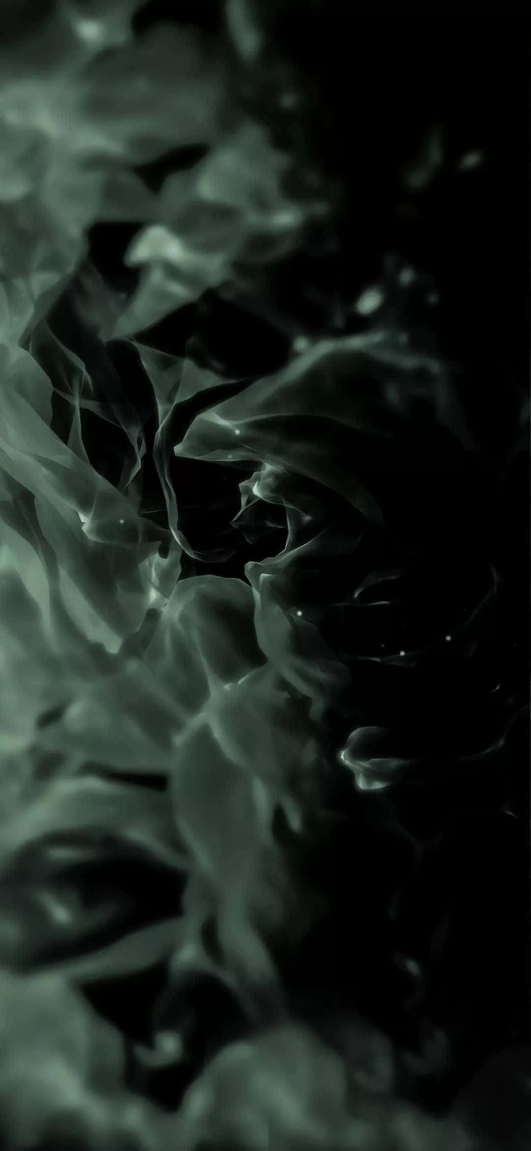 iPhone 11 Pro, black, dark green smoke, Full HD Phone Wallpaper