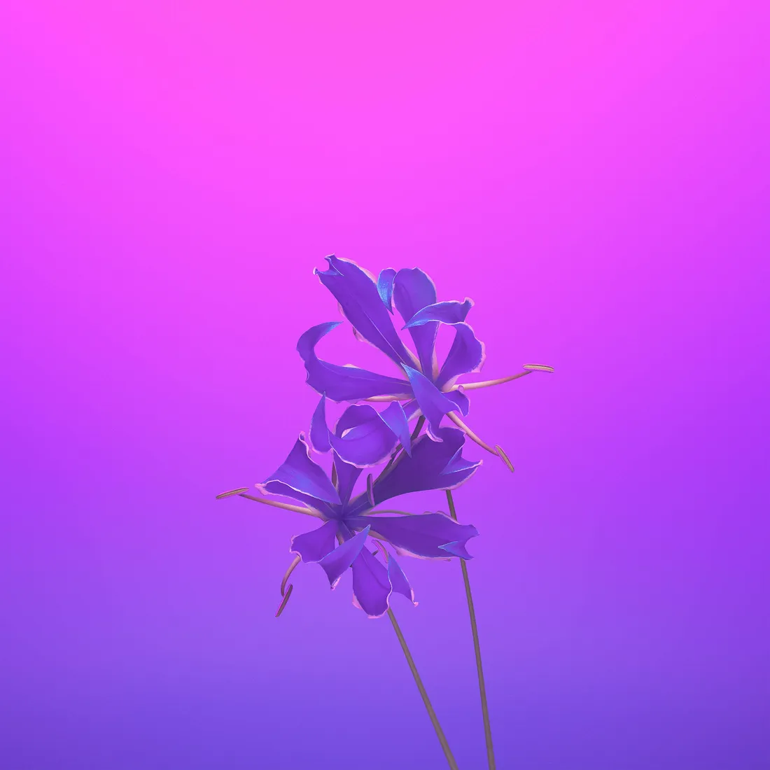 iPhone 11 Purple