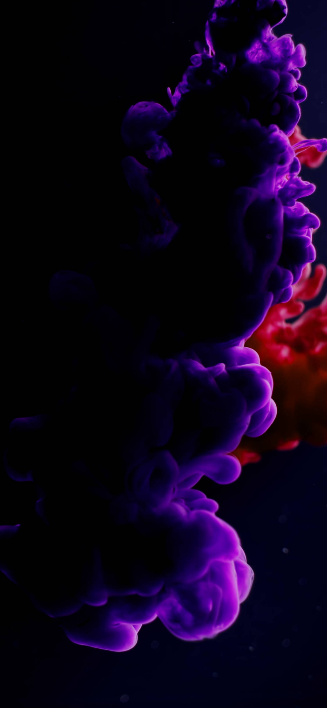 iPhone 11, Purple, deep black background, Full HD Phone Wallpaper