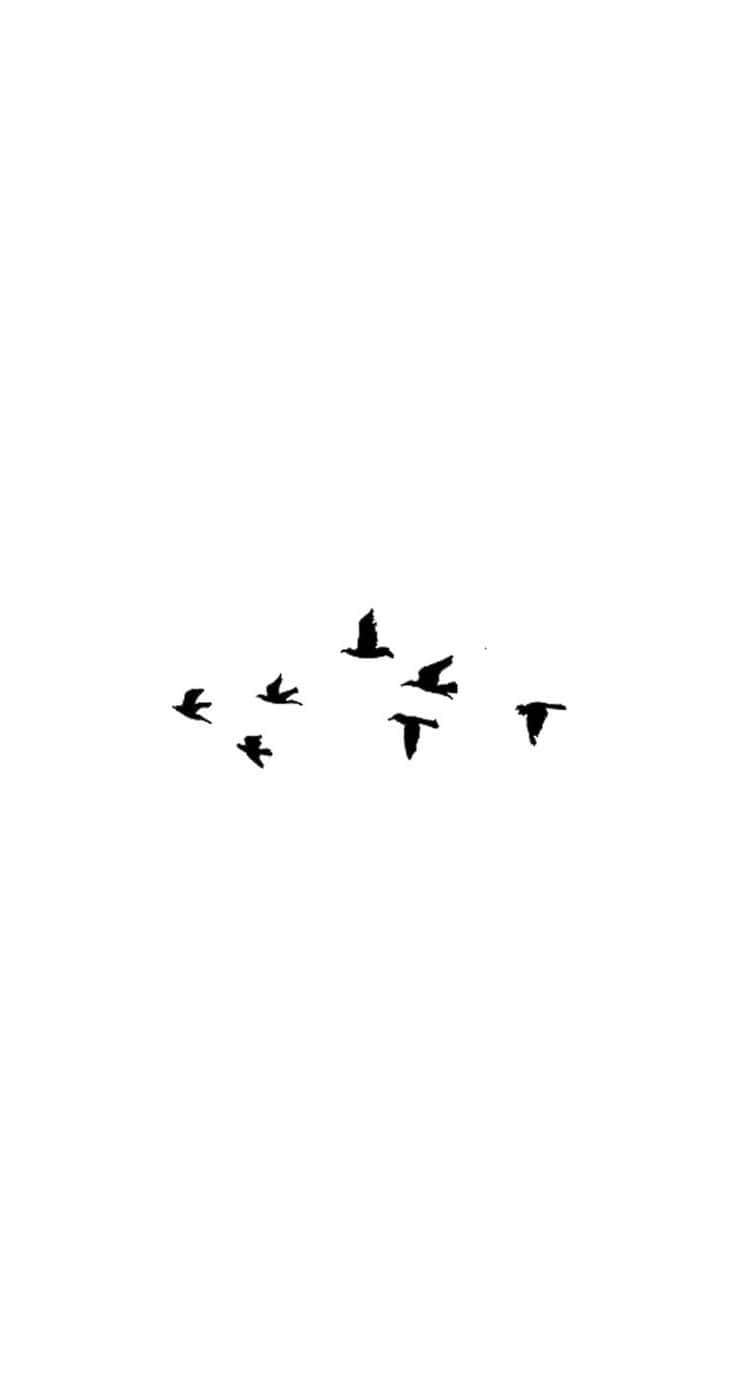 White Minimalist iPhone, black bird silhouettes, stark white background, HD Phone Wallpaper