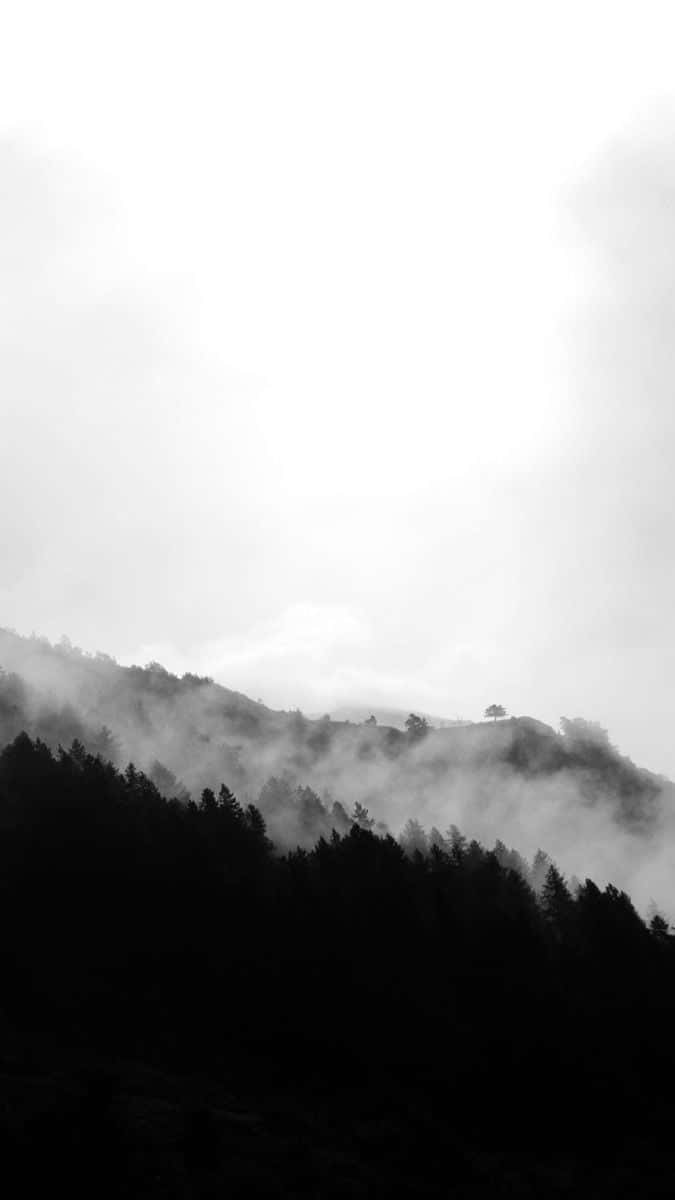iPhone 11 White, white minimalist, monochrome mountain landscape, SD Phone Wallpaper
